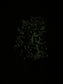 Glow in the dark