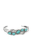 Cottage living (turquoise)