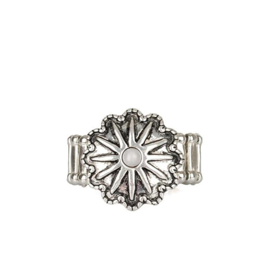 Stone Sensei (silver)